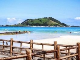 Tất tần tật kinh nghiệm du lịch đảo Udo Hàn Quốc